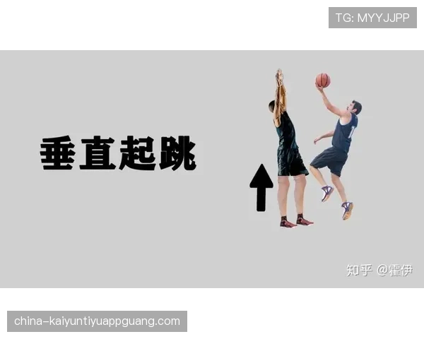 合理冲撞区规则解析怎么判定与判罚标准实战要点